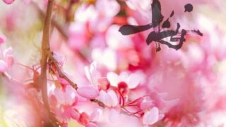 アート書道「桜」