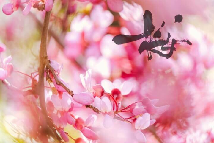 アート書道「桜」